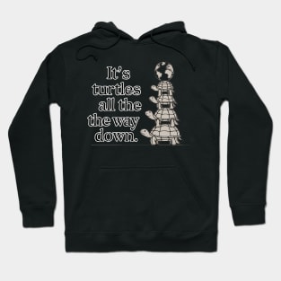 It's turtles all the way down Hoodie